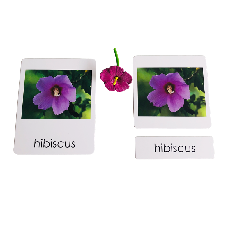 Montessori Language Materials  - Human Body Puzzle ulasan dan harga