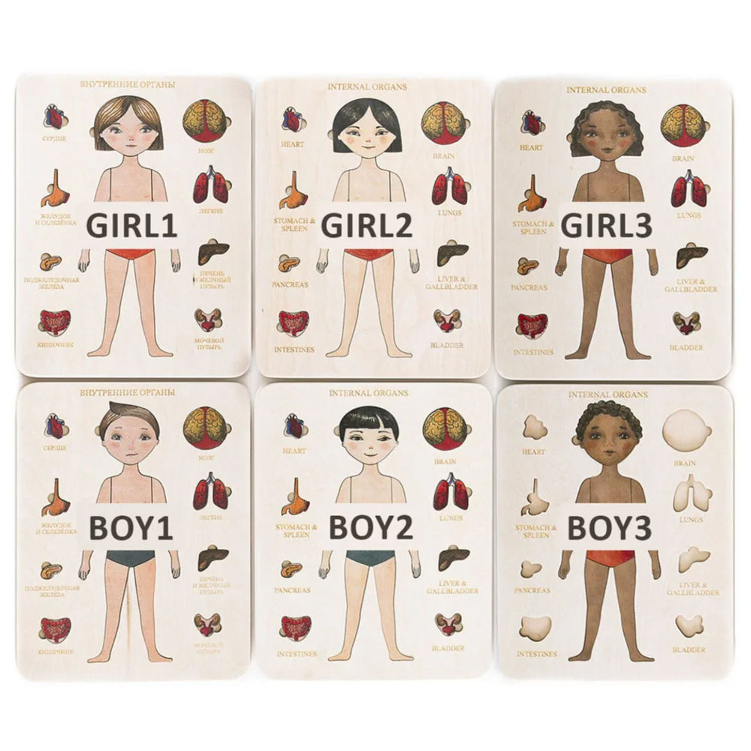 Montessori Wooden Puzzle Male  - Human Body Puzzle ulasan dan harga