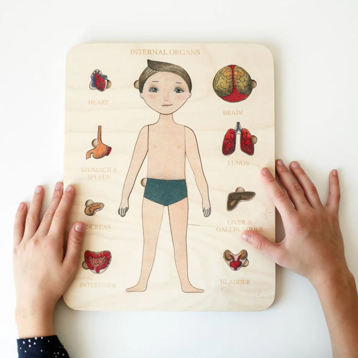 Montessori Wooden Puzzle Male  - Human Body Puzzle ulasan dan harga
