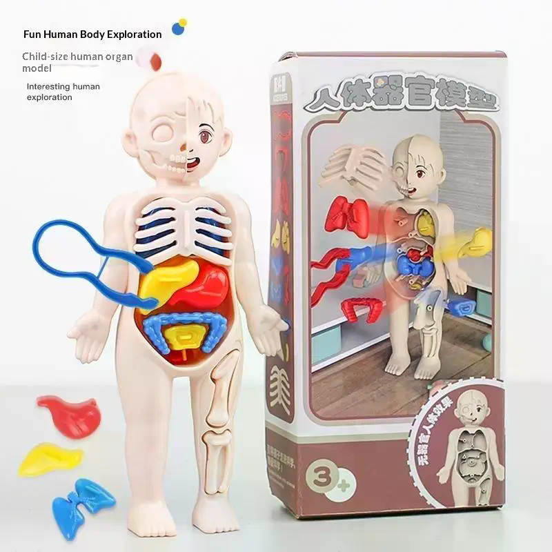 Model Toy Puzzle Kids Gift Hum - Human Body Puzzle ulasan dan harga