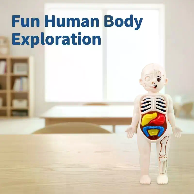 Model Toy Puzzle Kids Gift Hum - Human Body Puzzle ulasan dan harga