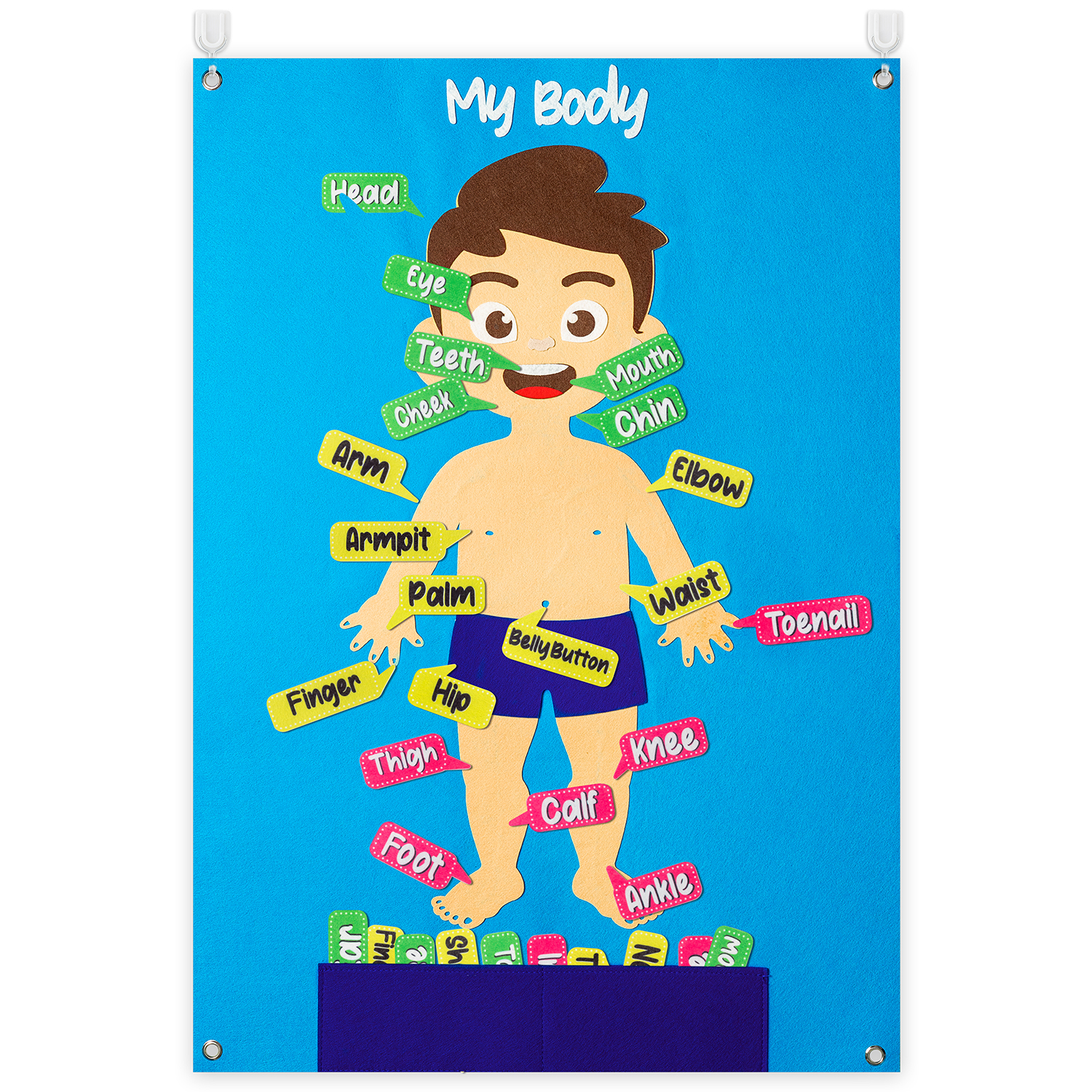 35Pcs Body Awareness Full Felt - Human Body Puzzle ulasan dan harga