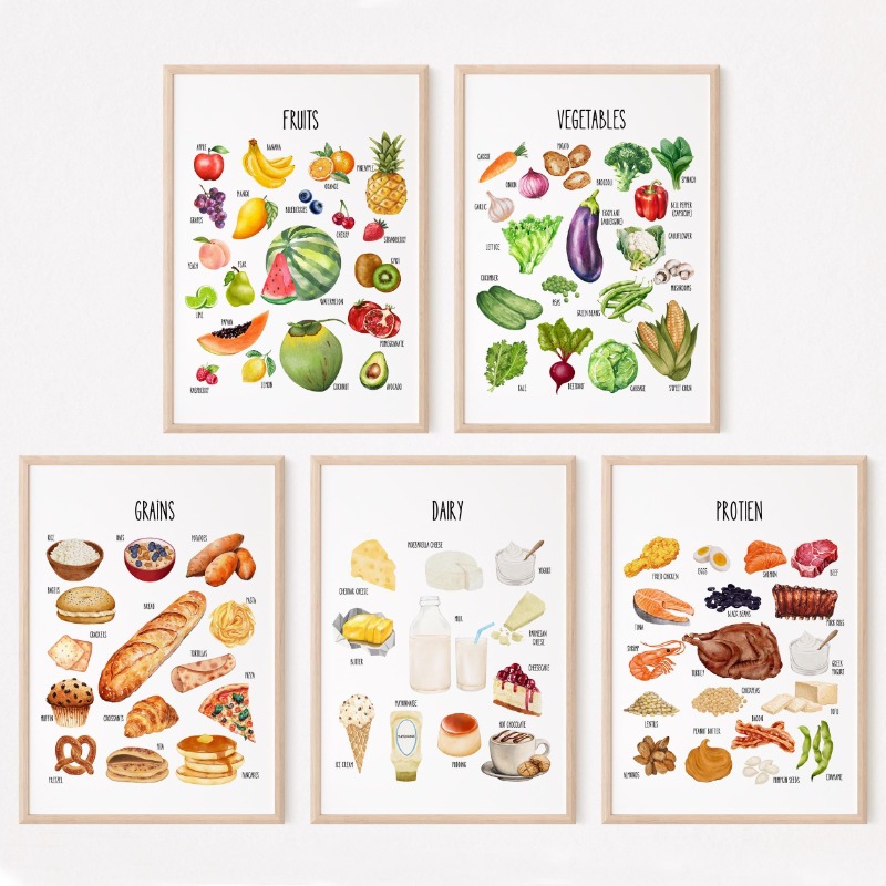Kids Food Groups Educational P - Kids Home Education ulasan dan harga