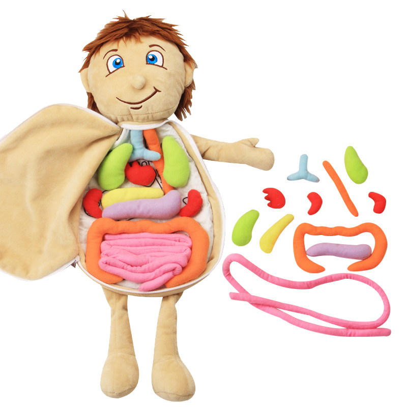 Kid 3D Puzzle Human Body  Mode - Human Body Puzzle ulasan dan harga