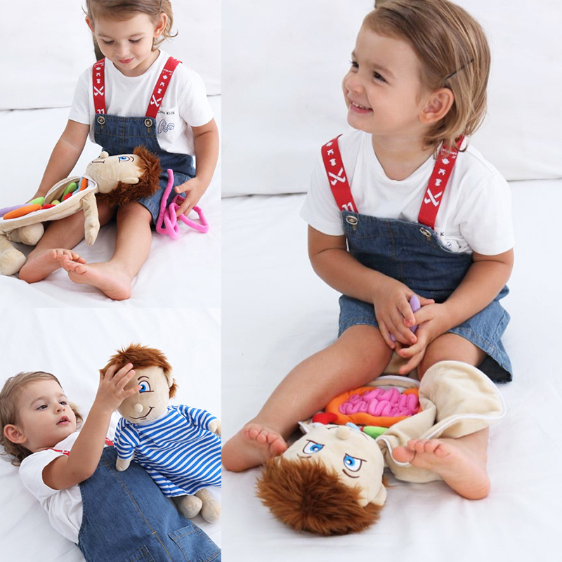 Kid 3D Puzzle Human Body  Mode - Human Body Puzzle ulasan dan harga