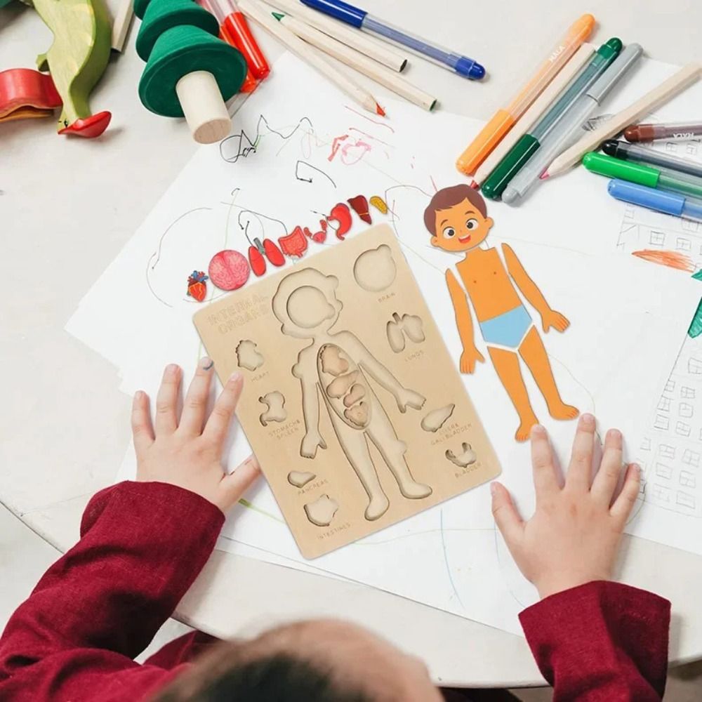 NEW Learning Board Montessori  - Human Body Puzzle ulasan dan harga