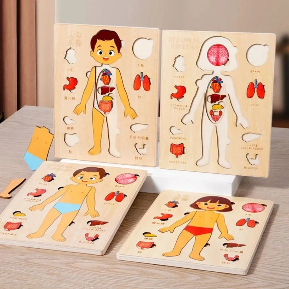 NEW Learning Board Montessori  - Human Body Puzzle ulasan dan harga