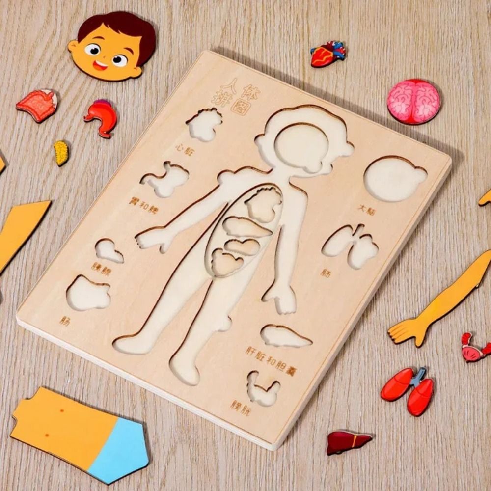 NEW Learning Board Montessori  - Human Body Puzzle ulasan dan harga