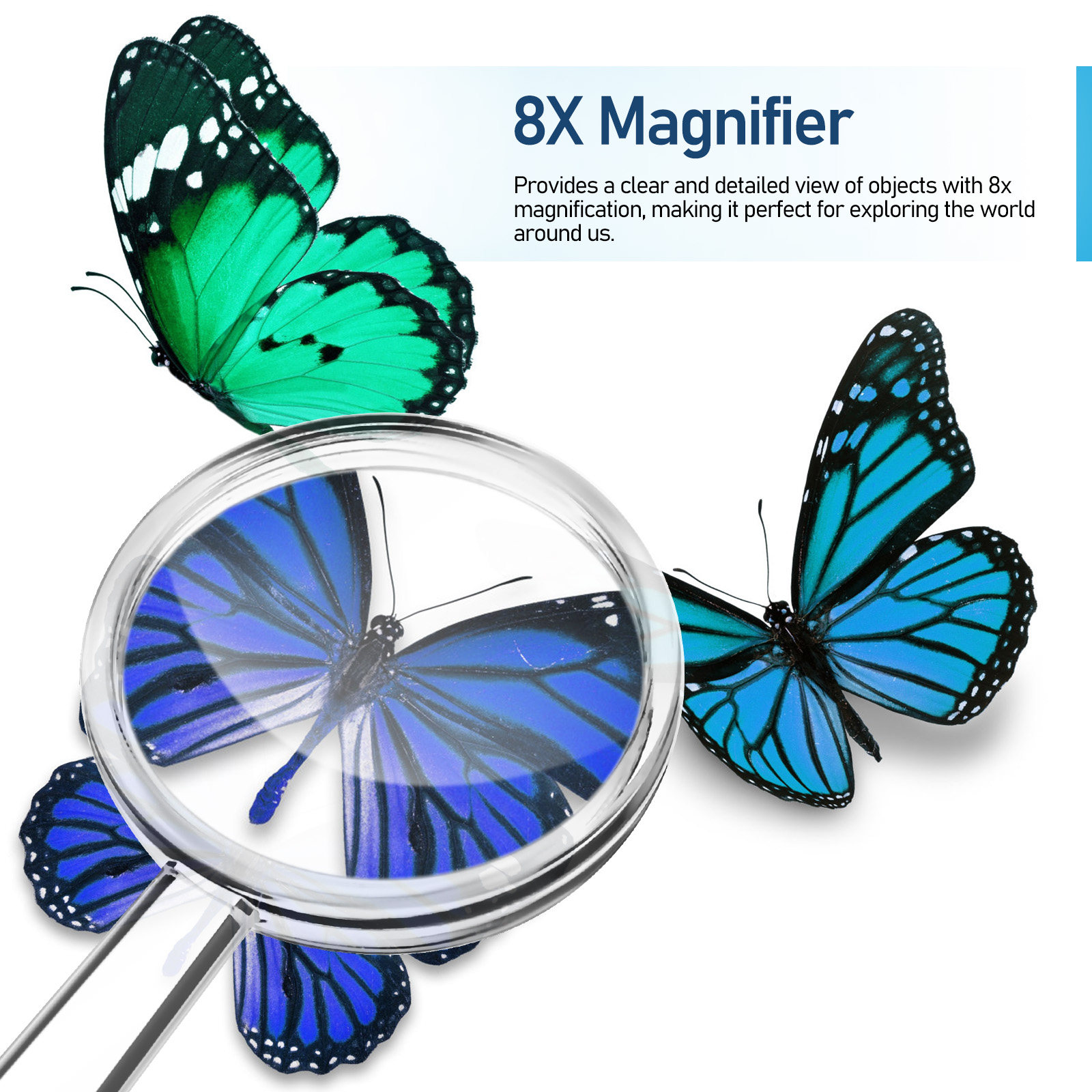 16Pcs Magnifying Glasses for K - Kids Education Group ulasan dan harga